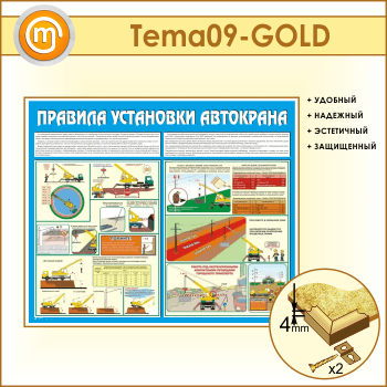     (TM-09-GOLD)
